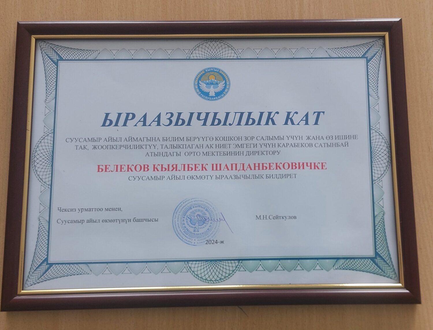 Мыкты жетекчи