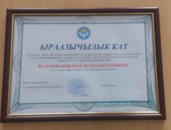 Мыкты жетекчи
