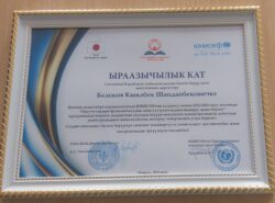 Мыкты жетекчи